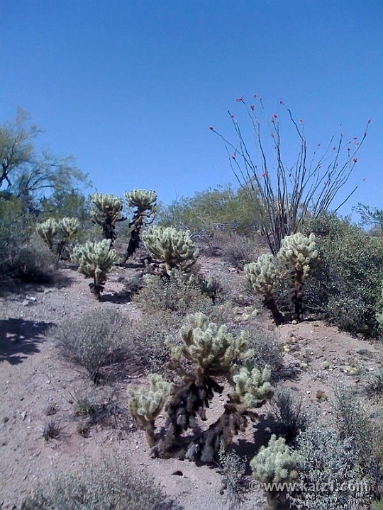 Pictures from iPhone 060